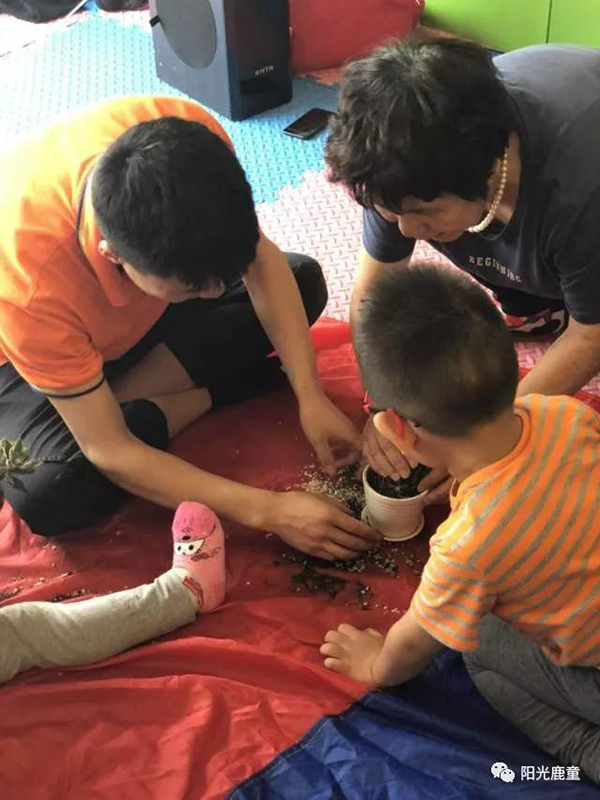 母亲节，鹿童妈妈喊你一起种肉肉