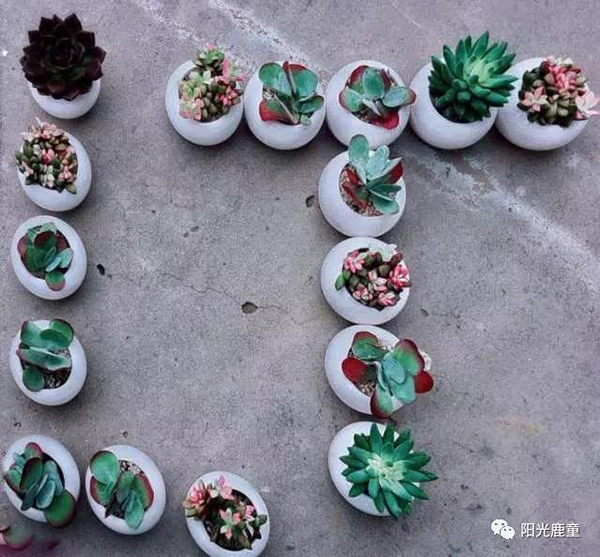母亲节，鹿童妈妈喊你一起种肉肉
