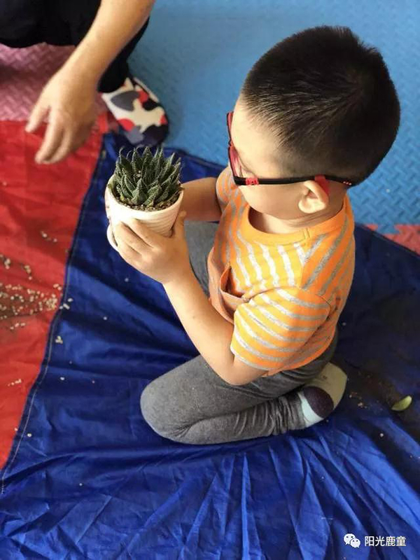 母亲节，鹿童妈妈喊你一起种肉肉