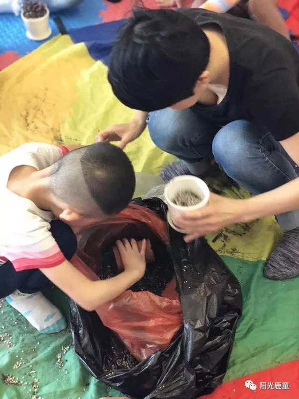 母亲节，鹿童妈妈喊你一起种肉肉